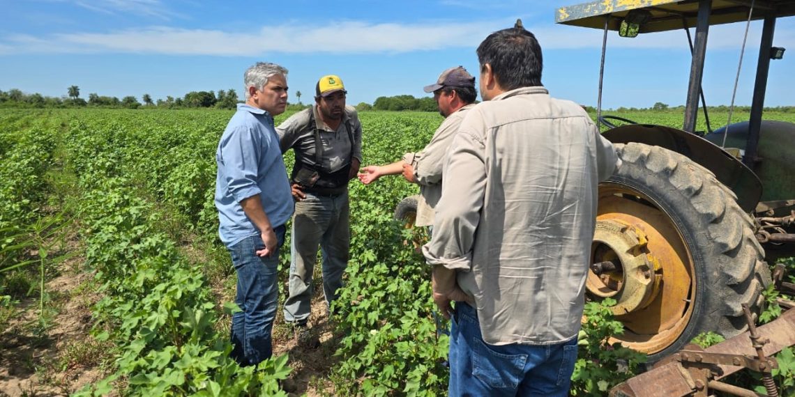 Montoya cruzó al ministro Rodríguez y lo acusó de “desconocer el campo”