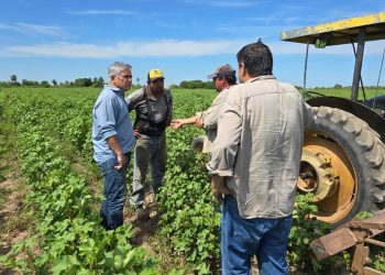 Montoya cruzó al ministro Rodríguez y lo acusó de “desconocer el campo”