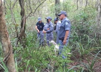 Villa 213: Desesperada búsqueda de nena de 5 años terminó de la peor manera, estaba enterrada cerca de su casa