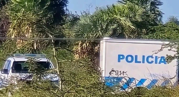 Macabro: Encontraron el cuerpo sin vida de un hombre en un descampado en el barrio 28 de Junio