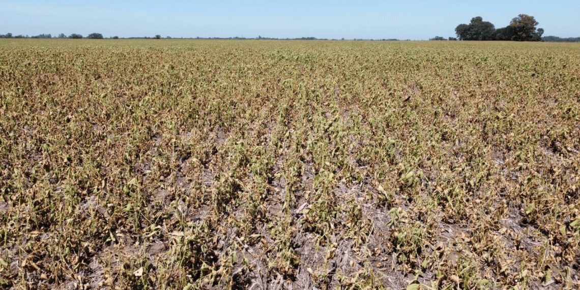 El invierno podría ser más cálido de lo habitual en el norte y este del país