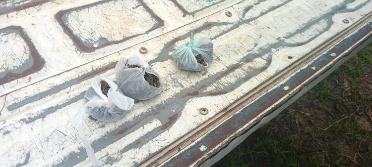 Una pareja quedó detenida por posesión de varios envoltorios de marihuana