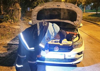Un auto robado hace seis años en Buenos Aires fue detectado en Clorinda