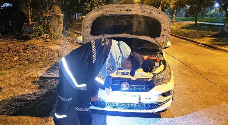 Un auto robado hace seis años en Buenos Aires fue detectado en Clorinda