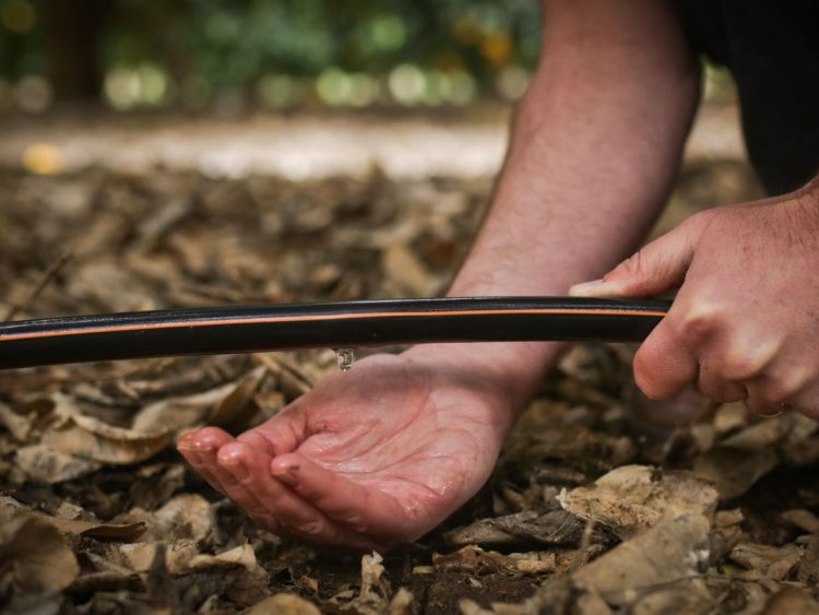 La innovación productiva le presenta pelea a la desertificación en el Gran Chaco