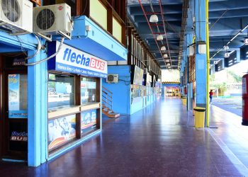 Elecciones: Cuáles son los servicios especiales que funcionarán este domingo