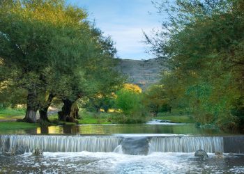 Esta es la mejor provincia de Argentina para vivir en 2025, según la Inteligencia Artificial