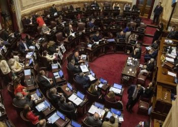 Enterate cómo votó cada senador en los temas de fondo que más rechazaba el Gobierno