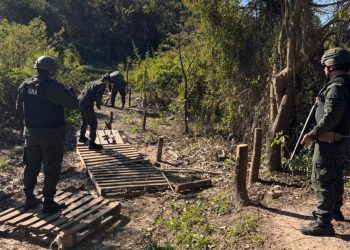 Gendarmería anuló 25 precarios puentes utilizados como paso clandestino entre Argentina y Paraguay