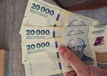 ANSES: El Gobierno confirma un bono sorpresa de casi 100.000