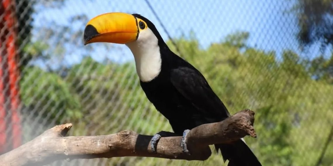 Guaycolec invitó a las familias a visitar el centro de rescate de especies autóctonas