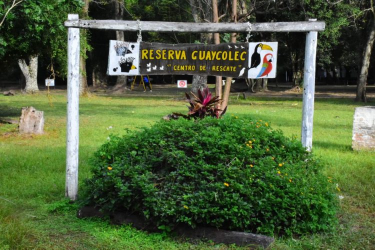 Guaycolec invitó a las familias a visitar el centro de rescate de especies autóctonas