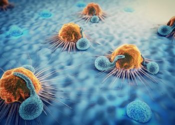 Bacterias contra el cáncer: cómo funciona la nueva terapia que elimina tumores sin activar al sistema inmune