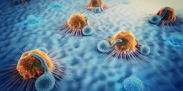 Bacterias contra el cáncer: cómo funciona la nueva terapia que elimina tumores sin activar al sistema inmune
