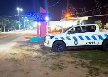 Movían animales vacunos sin cumplir un requisito y fueron detenidos