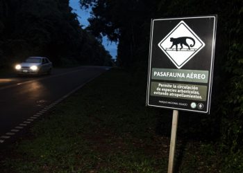 Nuevo informe sobre atropellamientos de fauna en áreas protegidas del NEA