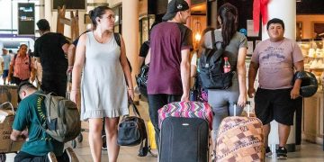 ¿Viajás? Conocé toda la normativa de Senasa para ingresar o regresar al país con alimentos