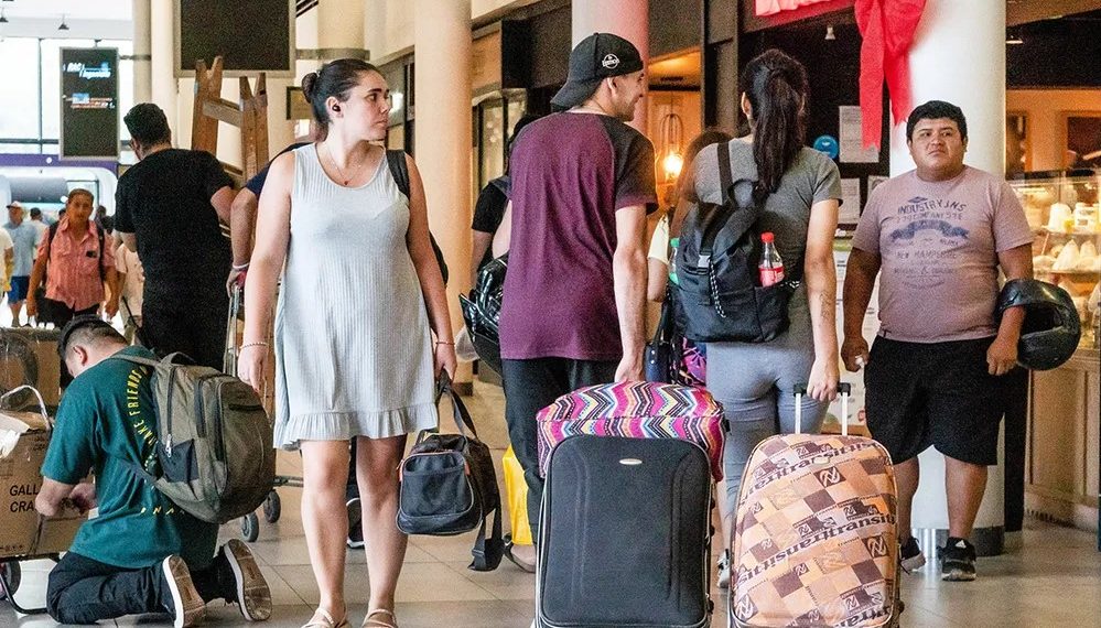 ¿Viajás? Conocé toda la normativa de Senasa para ingresar o regresar al país con alimentos