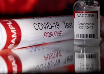 Variante Frankenstein del COVID en Argentina: revelaron el rasgo que comparten los infectados