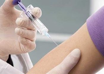 La vacunación contra la fiebre amarilla será gratuita solo en zonas endémicas: Formosa en la lista