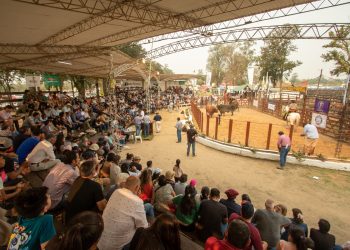 Ya tiene fecha el evento agroindustrial y comercial más importante: el 5, 6 y 7 de septiembre llega la Expo Rural Formosa