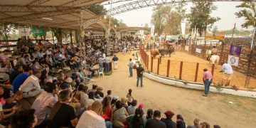 Ya tiene fecha el evento agroindustrial y comercial más importante: el 5, 6 y 7 de septiembre llega la Expo Rural Formosa