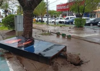 Fuerte temporal dejó destrozos, calles inundadas y cortes de luz por caída de postes