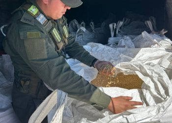 Gendarmería incautó en cuatro procedimientos 52 toneladas de granos de soja, 672 convertidores de TV y más de 25 kilos de hojas de coca