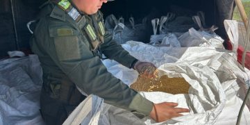 Gendarmería incautó en cuatro procedimientos 52 toneladas de granos de soja, 672 convertidores de TV y más de 25 kilos de hojas de coca