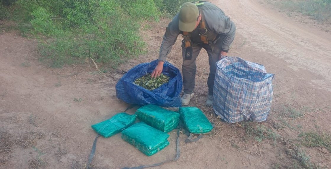 GN incauta 50 kilos de hojas de coca durante patrullajes por caminos secundarios del interior