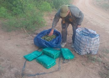 GN incauta 50 kilos de hojas de coca durante patrullajes por caminos secundarios del interior