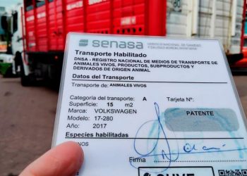 Nueva habilitación de transportes de animales vivos y productos de origen animal