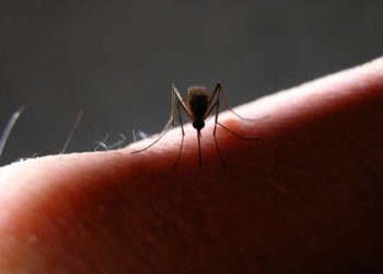 ¿Qué vacunas debes ponerte antes de viajar al extranjero?