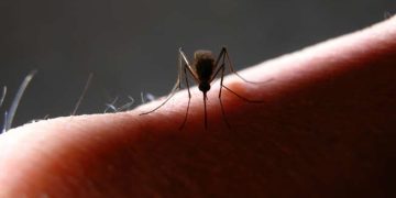 ¿Qué vacunas debes ponerte antes de viajar al extranjero?