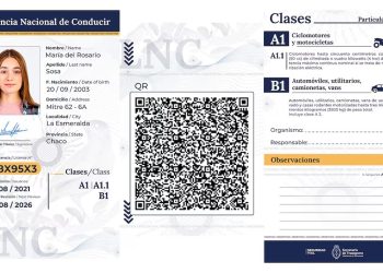 Cómo es la Licencia Nacional de Conducir digital que funciona en todo el país, excepto en Formosa