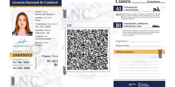 Cómo es la Licencia Nacional de Conducir digital que funciona en todo el país, excepto en Formosa