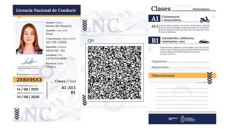 Cómo es la Licencia Nacional de Conducir digital que funciona en todo el país, excepto en Formosa