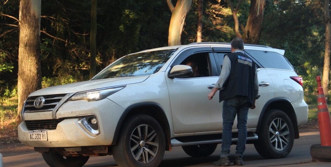 Senasa reiteró que está prohibido ingresar al país plantas sin su documentación sanitaria