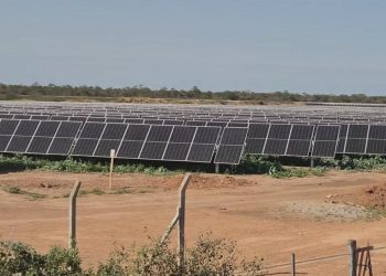 La empresa Green Energy formalizó pedido de acceso de sus parques solares a la red eléctrica