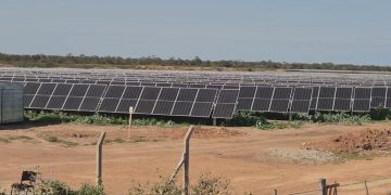 La empresa Green Energy formalizó pedido de acceso de sus parques solares a la red eléctrica