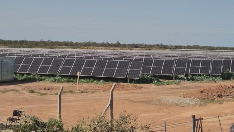 La empresa Green Energy formalizó pedido de acceso de sus parques solares a la red eléctrica