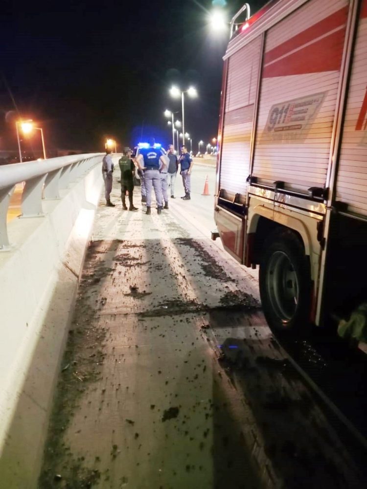 Un hombre intentó tirarse al vacío desde el puente elevado
