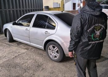 La Policía recuperó un automóvil con pedido de secuestro en Chaco