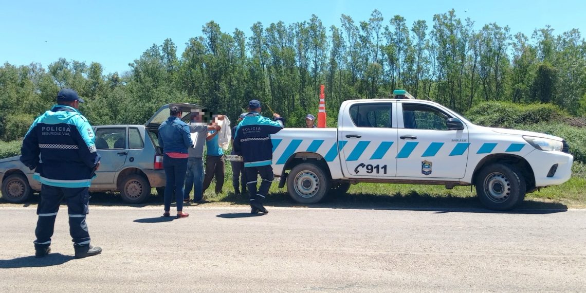 Cazaron un yacaré de una especie protegida por la Ley Nacional de Fauna