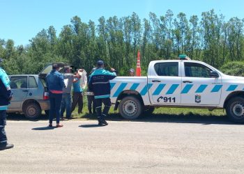 Cazaron un yacaré de una especie protegida por la Ley Nacional de Fauna