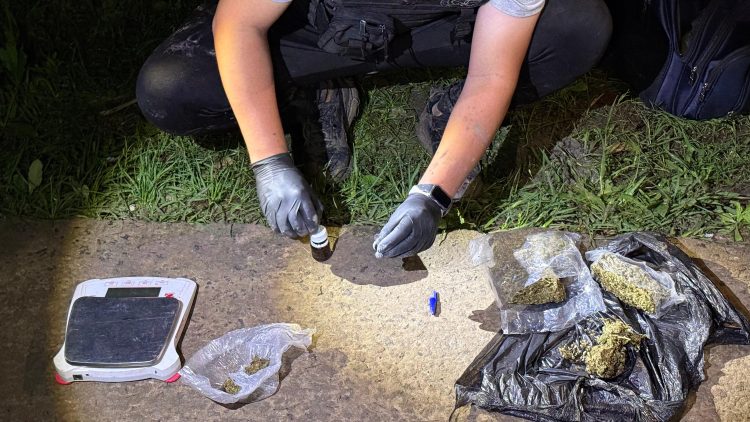 Desarticulan una banda narco que hacía delivery de drogas: todos presos