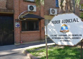 Aplican artículo de la nueva Constitución al fundamentar un fallo del Tribunal de Familia