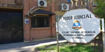 Aplican artículo de la nueva Constitución al fundamentar un fallo del Tribunal de Familia