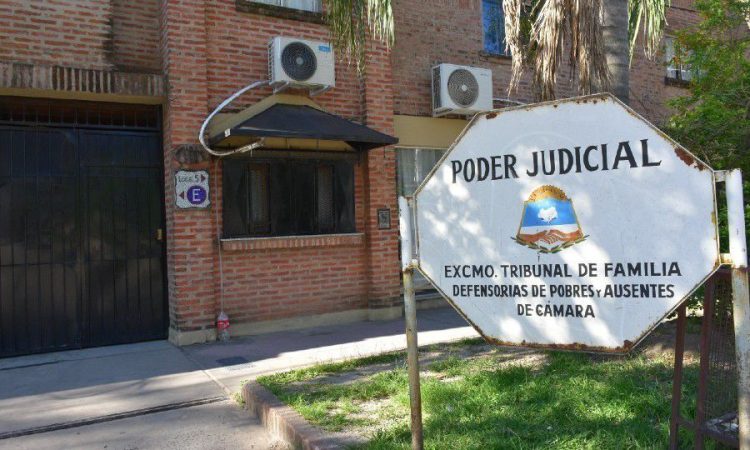 Aplican artículo de la nueva Constitución al fundamentar un fallo del Tribunal de Familia