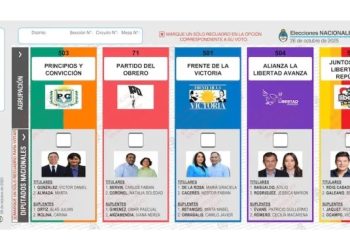 Desde el TEP aclararon sobre la publicación de los resultados de las elecciones del próximo domingo 26